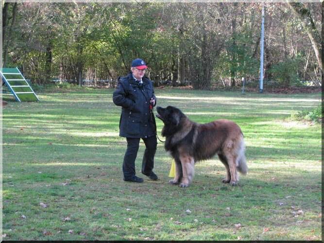 mtJNU4wTkNRVVl6T1RVeE5qVTJSVUV4UlRNeE1VSkNRVGd0YmpRdVluTXhObUUkYzJWc1pXTjBhVzl1UFhSbWIyd3hNV00xTm1ZNE9URmlNR1JtWlR   VMCZ3PTgwMCZoPTYwMCZxPTc1JnQ9MTM4NDE5NTI1MA__.jpg